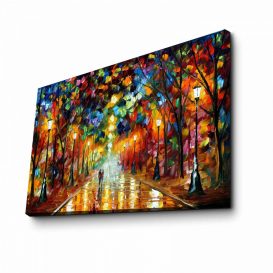 FAMOUSART-073 Pictură decorativă pânză 70x45 Multicolor