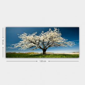 YTY1233464_50120 Pictură decorativă pânză 120x50 Multicolor