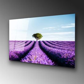 UV-107 70 x 100 Pictură decorativă din sticlă călită 100x70 Multicolor