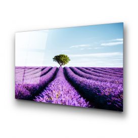 UV-107 70 x 100 Pictură decorativă din sticlă călită 100x70 Multicolor