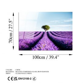 UV-107 70 x 100 Pictură decorativă din sticlă călită 100x70 Multicolor